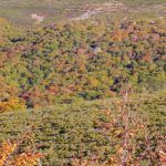 Enrique GarciÌa Bravo1